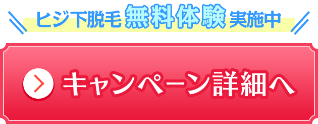 今なら2ヶ月分0円キャンペーン中